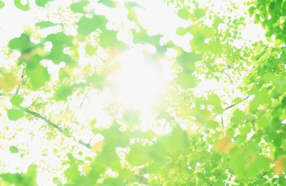 大学受験にかかる費用を透明にする三田市の塾＝大学進学K